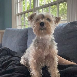 Meet your Posher, Ashley